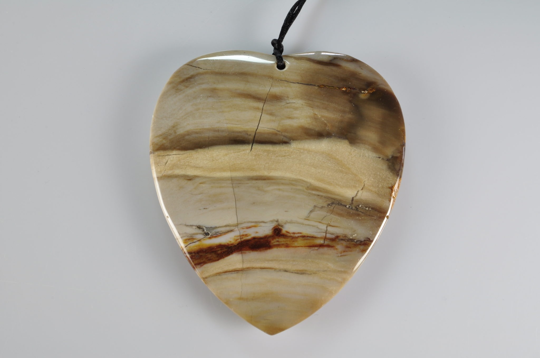 fossil wood pendant